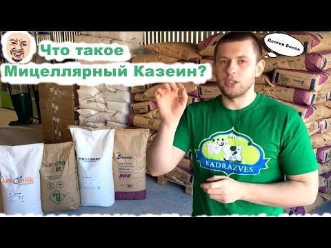 Что такое Мицеллярный Казеин.  Отличие Казеинов Рейтинг. Купить Казеин