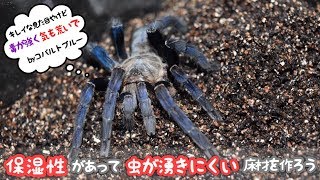 タランチュラの為にオリジナルの床材を作ってみた！！