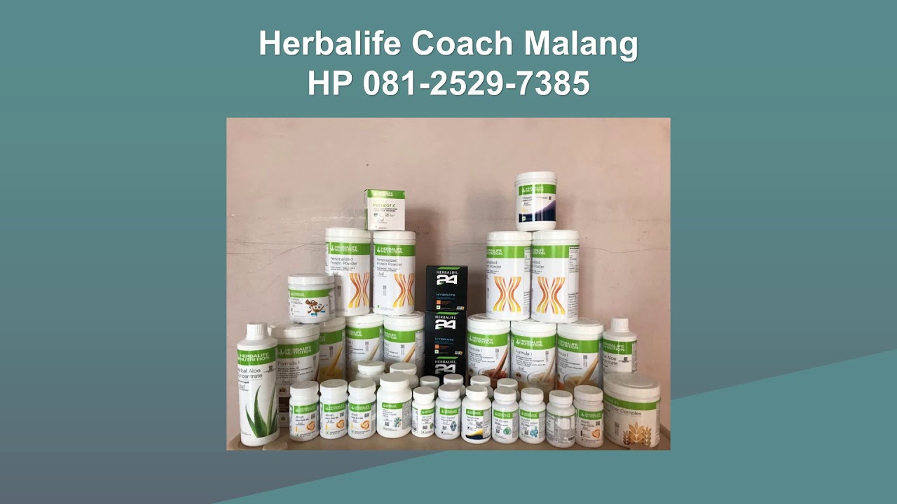 Terbukti, WA +62 81-2529-7385, Herbalife Malang Halal ...