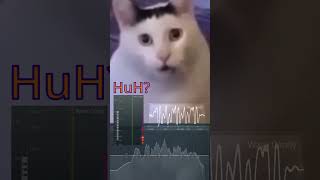 Cat huh meme sound analysis Resimi