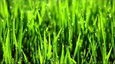 سورة المدثر للقارىء ابراهيم الجبرين .. Surat AlMudathir