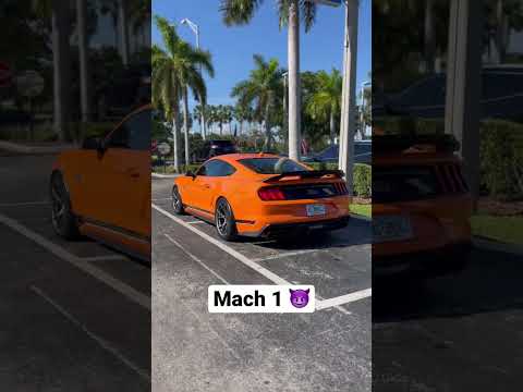 Who likes orange 🍊 Mach 1