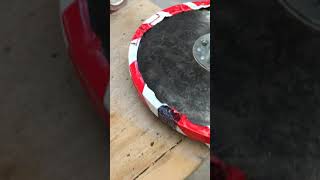 Visualizing magnetic field with a needle and thread.