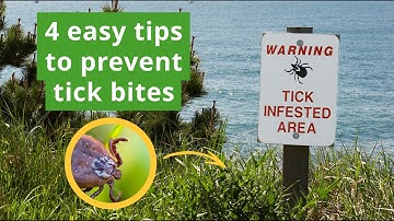 4 Easy Tips to Prevent Tick Bites