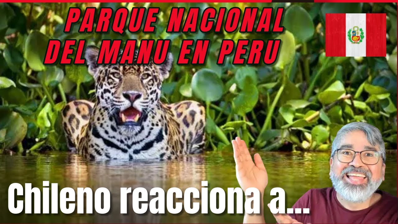 Chileno reacciona al parque nacional del manu en Perú #biodiversidad #biodiversity #parques #perú