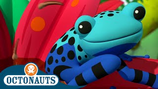 Octonauts - The Poison Dart Frogs | Cartoons for Kids | Underwater Sea Education