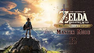 12.[MASTER MODE]젤다의 전설 브레스 오브 더 와일드(The Legend of Zelda: Breath of the Wild)[NS2]