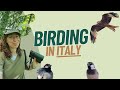 Birding in the most unknown region of italy
