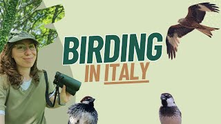 Birding in the most unknown region of Italy