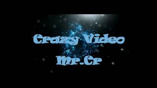 Animals Attack People Compilation 2019 - Funny Animals Videos