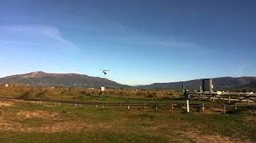 Compass Warp 360 Maiden