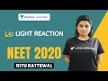 L4: Light Reaction | Photosynthesis Complete NCERT Review | Target NEET 2020