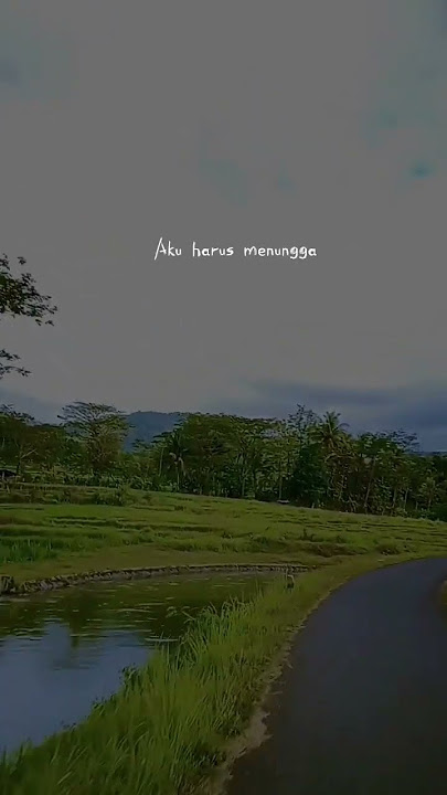 aishiteru #youtubeshorts #shortsvideo #shorts #zivilia