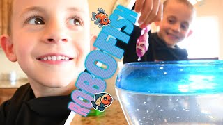 COEN's pet RoboFish!