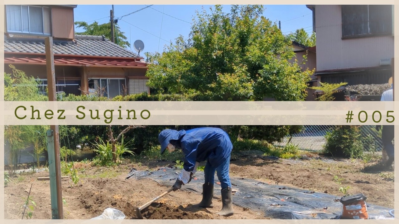 田舎の田園趣味のおじいさんの老太カップルは趣味のシーンのテラスの置物を置きます A Rural Life of a Couple in Their 70s | Early Summer Farm Work in