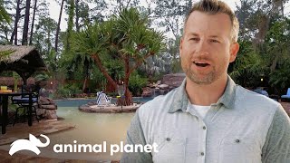 Un nuevo patio de isla tropical | Piscinas Increíbles | Animal Planet