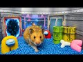 🐹 Hamster escapes the AIRSHIP AMONG US Maze! 😲 Real traps for hamster