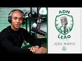 ADN de Leão | Episódio 1: João Mário