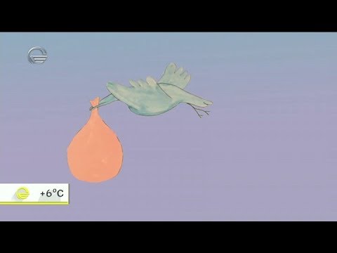 სქესობრივი აღზრდა ბავშვებში - ფსიქოლოგის რჩევები და რეკომენდაციები იმედის დღეში