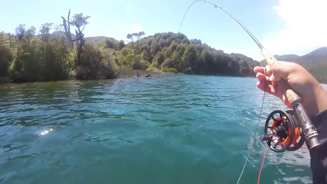 Fly fishing Laguna Quepe, Región de la Araucanía, Chile.