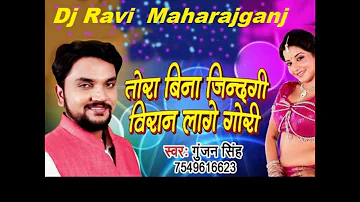 Tora Bina Duniya Jinagi Viran Lage Gori Re Gunjan Singh Bhojpuri Sad Songs Dj Ravi Maharajganj