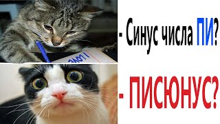 Приколы! Я НА МАТЕМАТИКЕ - МЕМЫ!!! Смешные видео от - Доми шоу!