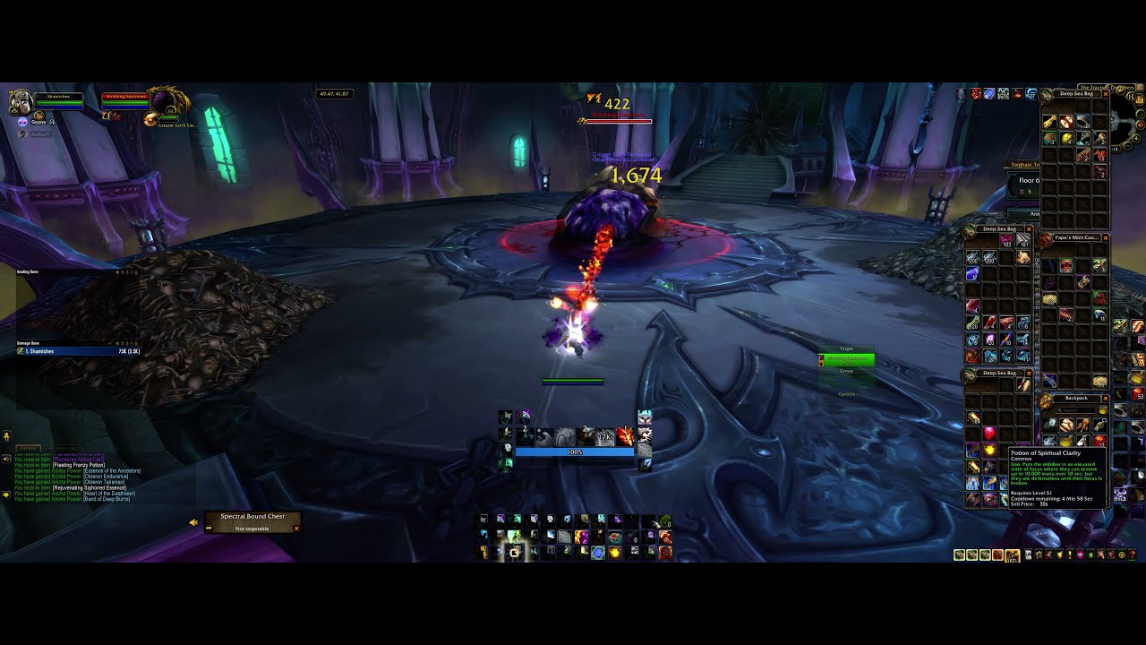 World Of Warcraft  Torghast Level 8 Resto shaman