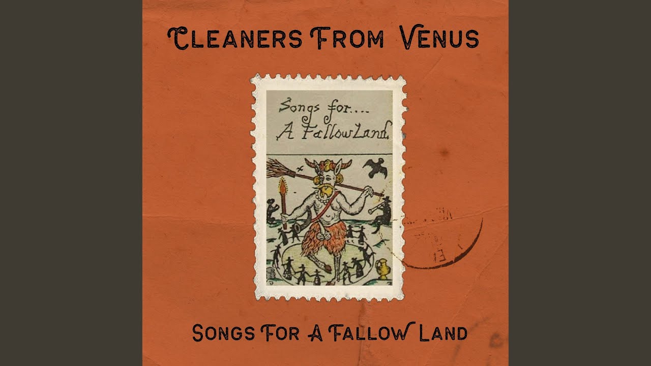 Sun Comes to the Wood