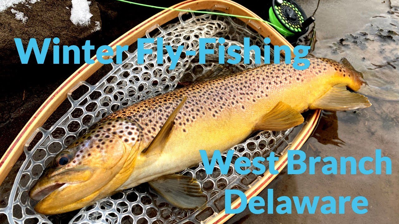 North Eastern Fly Fishing