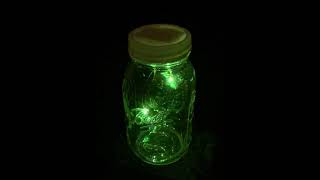 Virtual Fireflies