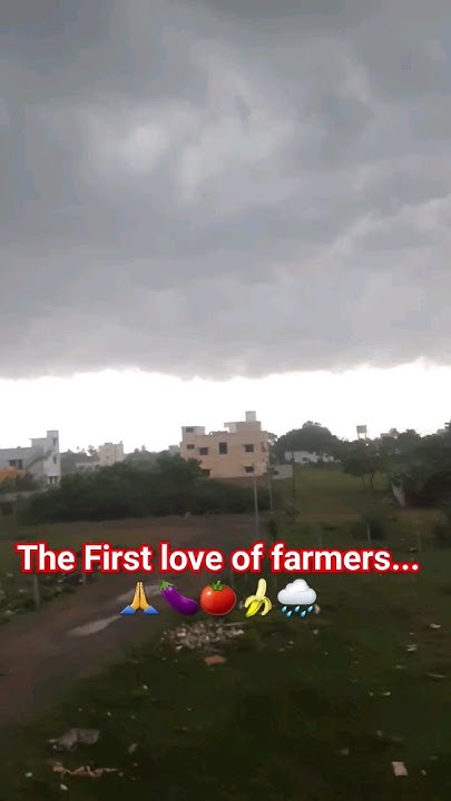 what-is-first-love-of-farmers-rain-tamil-song-shorts-manam-youtube