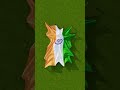 Indian Flag Tiranga