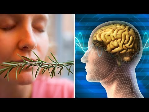 Sniffing Rosemary Can Increase Your Memory By 75%, Study Finds