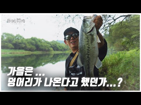 배스들이 반응이 없다면 리액션! 한 끗 차이로 반응을 합니다! (feat. 박성완 )