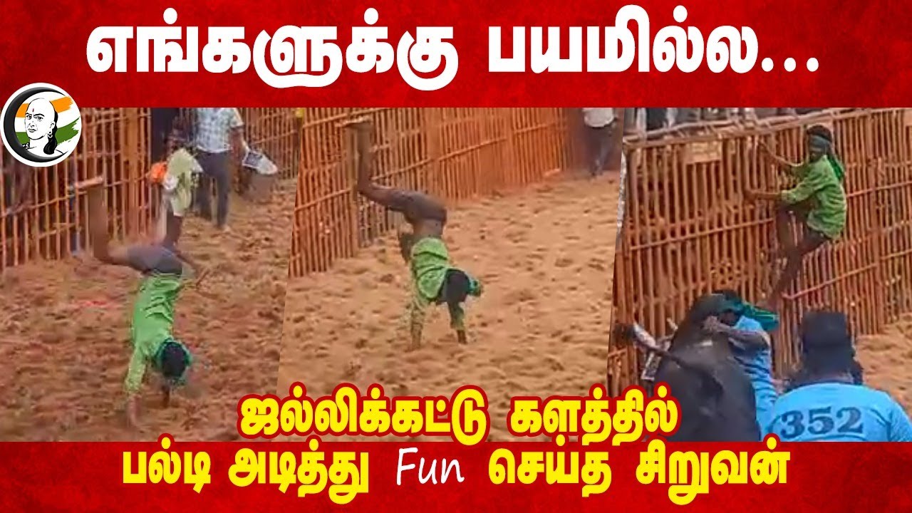 எங்களுக்கு பயமில்ல... ஜல்லிக்கட்டு களத்தில் பல்டி அடித்து Fun செய்த சிறுவன் | Pongal 2025 |