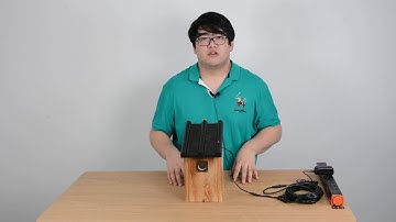 SD Card Recording: How to Watch Playback of Our Bird Box Camera