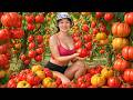 WOW! 1000KG Giant Tomato Harvest – From Garden To Market 😱
