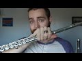 Flute Talk: New Flute, Old Flutes, and Advice on Choosing a Flute [8BitBrigadier]