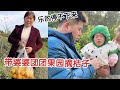 带婆婆和团团果园摘桔子！婆婆大丰收乐的停不下来，团娃子吃的也贼开心！【杨翠花V】