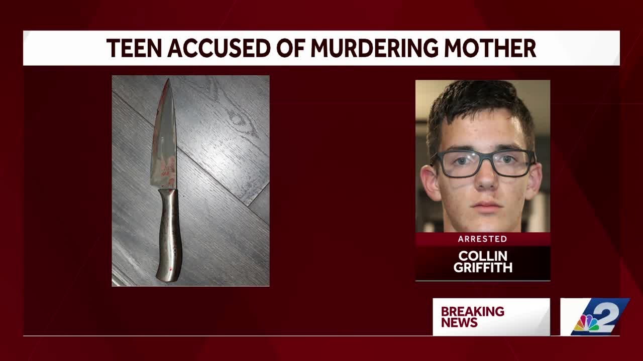 Port Charlotte teen accused of killing mother a year after father's ...