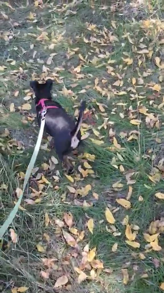 Jack and tobi - YouTube