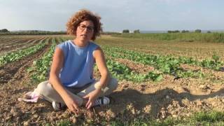 Presentazione Azienda Agricola Biologica Lucia Cavallo 