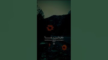 اكتب شيء تؤجر عليه 🤍القارئ اسلام صبحي 🤍 #quran #كرومات_قرآن #شاشه_سوداء #أرح_قلبك 🌿