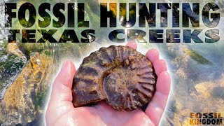 NEW FAVORITE HUNT  Fossil Hunting North Texas Creeks  March 2024