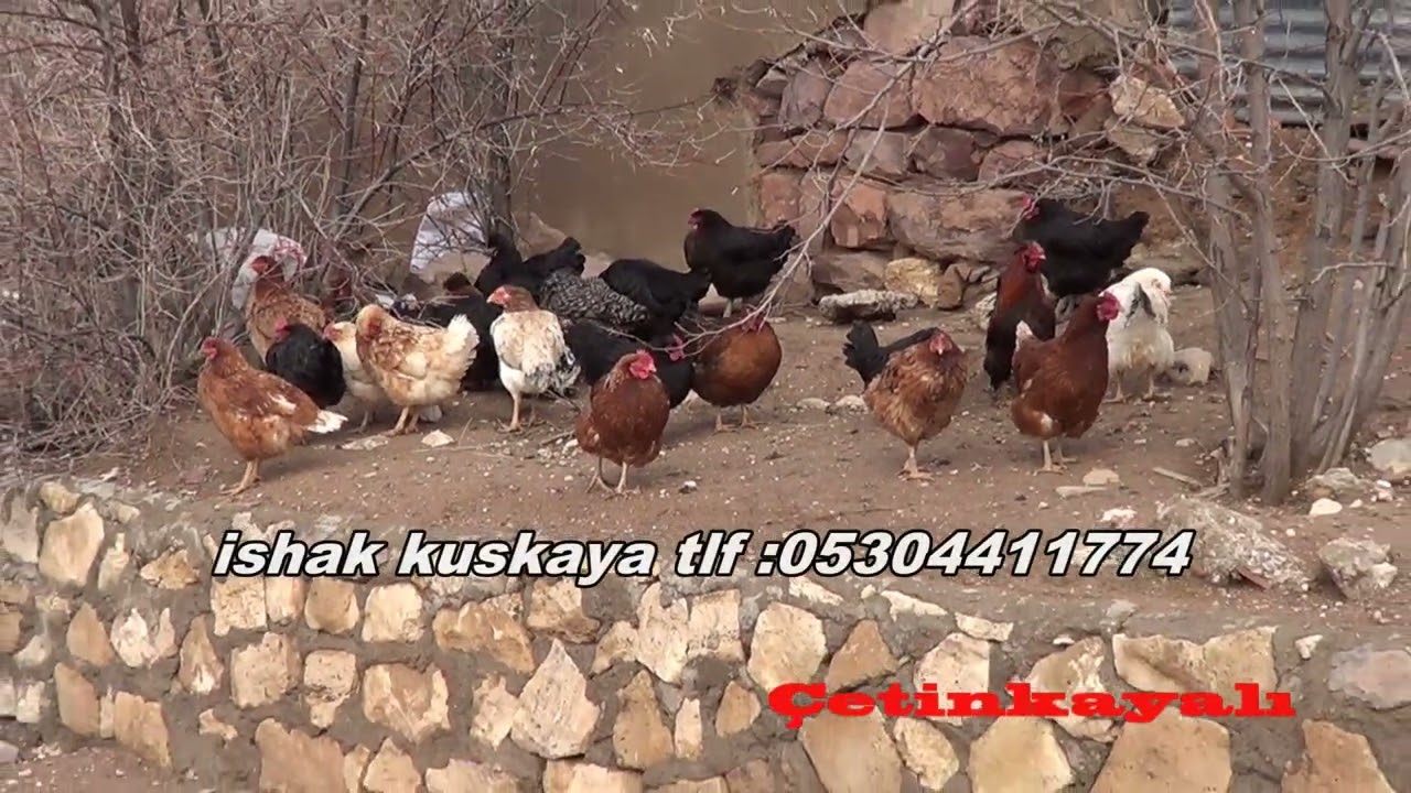 19 02 2026 ÇETİNKAYADAN GÖRÜNTÜLER