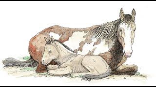 Foaling Date Calculator screenshot 5