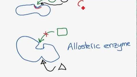 Competitive and non-competitive inhibition.mp4