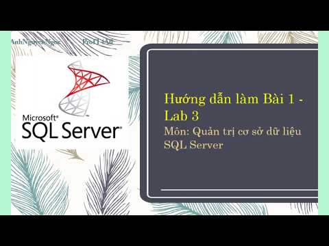 Video Lab 3.B1: Sử dụng các hàm chuyển kiểu và định dạng... - youtube