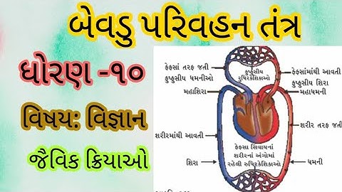 Std 10 | Science | Chapter 6 | જૈવિક ક્રિયાઓ | બેવડું પરિવહન તંત્ર | Gurukrupa Academy |