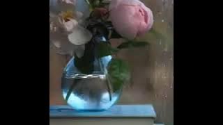 NOCTURNE OF CHOPIN - RICHARD CLAYDERMAN